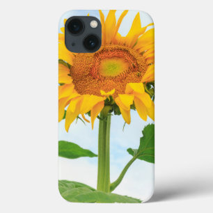 Etui iPhone Case-Mate Sunflower, jardin communautaire, Moses Lake, WA, É