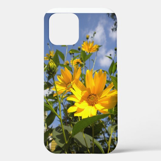 Coques Case-Mate iPhone Sunflowers n Sky (Verso)