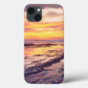 Coques Pour iPhone Sunset Cliffs tide pools