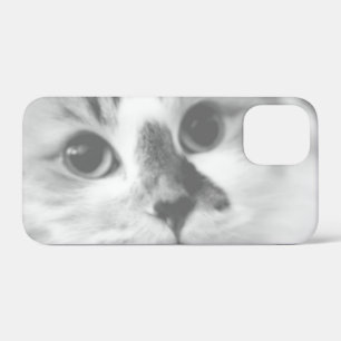 Case-Mate iPhone Case SUPER CUTE Chat Closeup Portrait Photographie