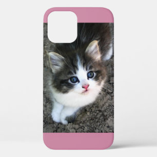 Coque iPhone 12 SUPER CUTE Stray Kitten