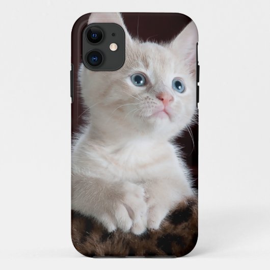 Coques Case-Mate iPhone Super mignon Kitten blanc (Dos)