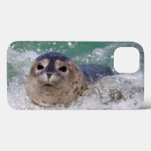 Coques Case-Mate iPhone Surfer de bébé phoque (Verso (horizontal))