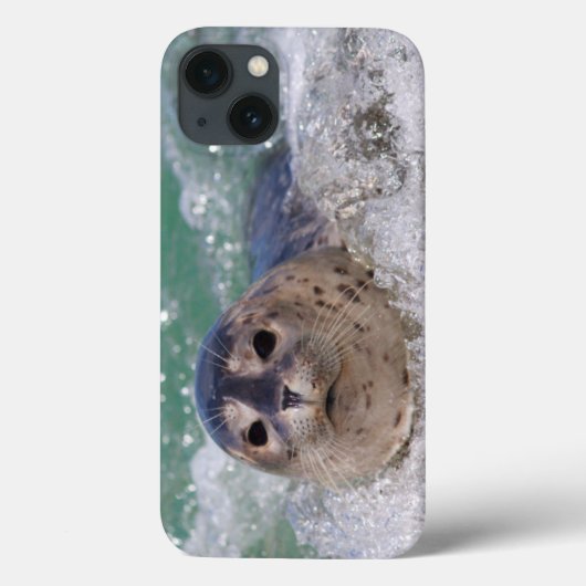 Coques Case-Mate iPhone Surfer de bébé phoque (Verso)
