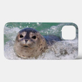 Coques Case-Mate iPhone Surfer de bébé phoque (Verso (horizontal))