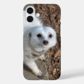 Coques Case-Mate iPhone Suricate Blanche (Verso)