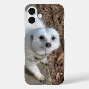 Coques iPhone 16 Plus Suricate Blanche