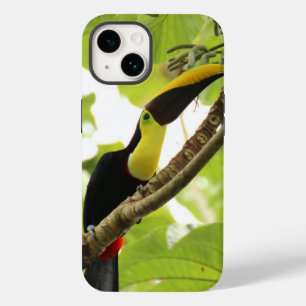 Coque Pour iPhone 14 Swainson Toucan