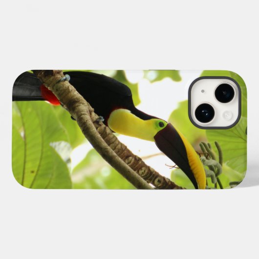 Coques Case-Mate iPhone Swainson Toucan (Verso (horizontal))