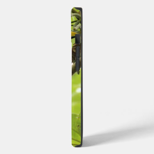Coques Case-Mate iPhone Swainson Toucan (Verso / Gauche)