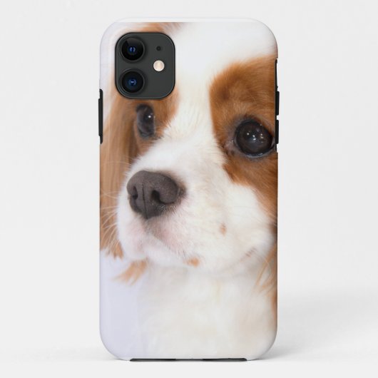 Coques Case-Mate iPhone Sweet Cavalier King Charles Spaniel iphone 5g Coqu (Dos)
