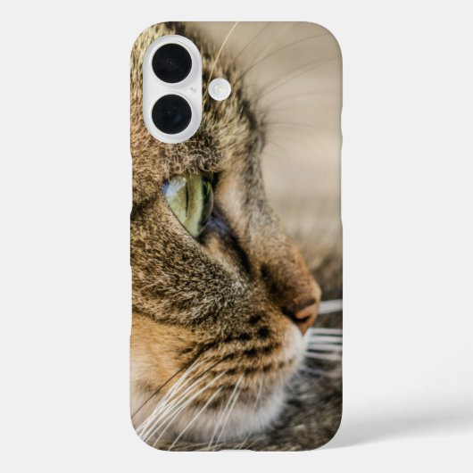 Coques Case-Mate iPhone Tabby Cat Face Gros plan (Verso)