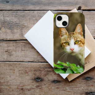 Coques iPhone 16 Tabby et chat blanc et ivoire
