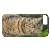 Coques Case-Mate iPhone Tabby gris (Dos (Horizontal))