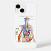 Coques Case-Mate iPhone Tableau du système Renin-Angiotensine Diagramme du (Verso)