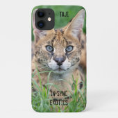 Coques Case-Mate iPhone Taji - (Dos)