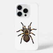 Coques Case-Mate iPhone Tarantula (Verso)