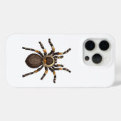 Coques Case-Mate iPhone Tarantula (Verso (horizontal))