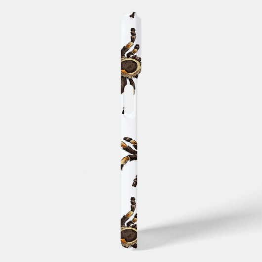 Coques Case-Mate iPhone Tarantula sur blanc (Verso / Droite)