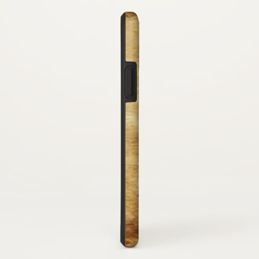 COQUES Case-Mate iPhone TAROTS ANCIENS RENAISSANCE 17 / L'ÉTOILE (Dos/Droite)