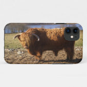 Coques Case-Mate iPhone Taureau Highland Cattle, Écosse (Dos (Horizontal))