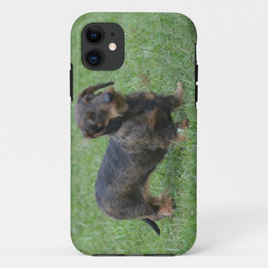 Coques Case-Mate iPhone Teckel d'une chevelure de fil mignon (Dos)