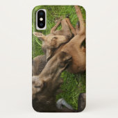 Coques Case-Mate iPhone Tendre Mère Moose (Dos)