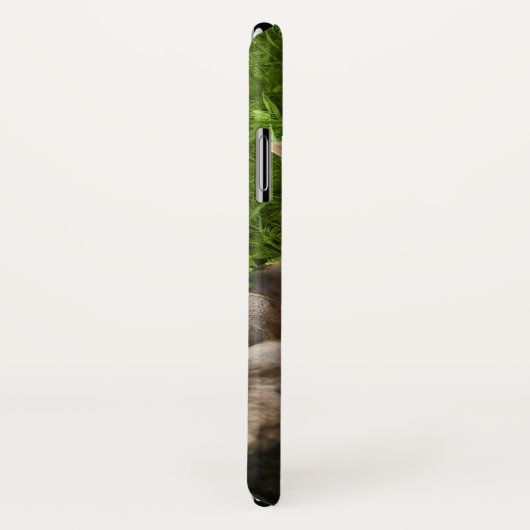 Coques Case-Mate iPhone Tendre Mère Moose (Dos/Droite)