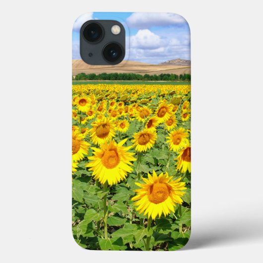 Coques Case-Mate iPhone Terrain de tournesol (Verso)