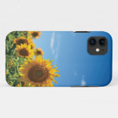 Coques Case-Mate iPhone Terrain de tournesol (Dos (Horizontal))