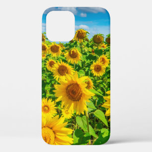 Case-Mate iPhone Case Terrain de tournesol en été par temps ensoleillé.
