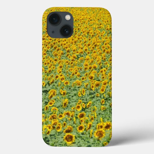 Coques Case-Mate iPhone Terrain de tournesol jaune (Verso)