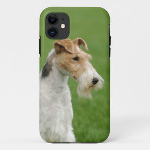 Coques Pour iPhone Terrier Fox