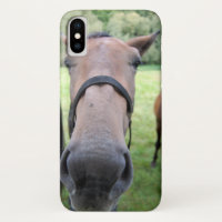 Tête de cheval 004