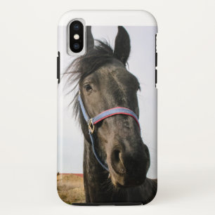 Etui iPhone Case-Mate Tête de cheval 007