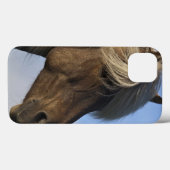 Coques Case-Mate iPhone Tête de cheval islandais, Islande (Verso (horizontal))