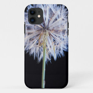 Coque Case-Mate Pour iPhone Tête de graine de pissenlit (Taraxacum Officinale)