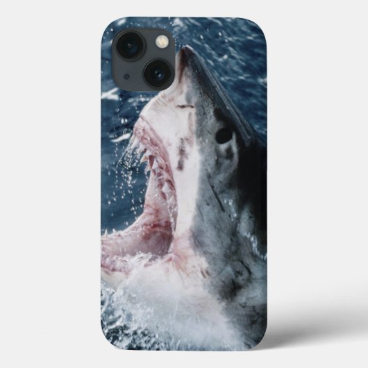 Coques Case-Mate iPhone Tête de grand requin blanc (Verso)