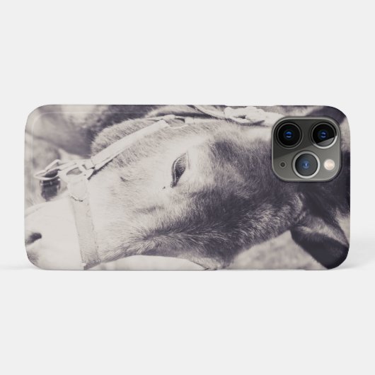 Coques Case-Mate iPhone Tête de l'âne 001 (Dos (Horizontal))