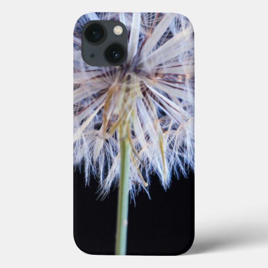 Coques Case-Mate iPhone Tête de semence Dandelion (Taraxacum Officinale) (Verso)