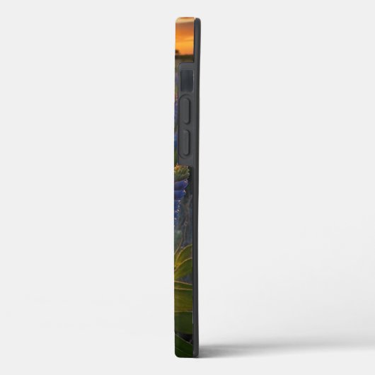 Coques Case-Mate iPhone Texas Bluebonnet (Verso / Gauche)