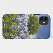 Coques Case-Mate iPhone Texas bluebonnets (lupinus texensis) et chêne (Dos (Horizontal))