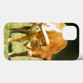 Coques Case-Mate iPhone Texas Longhorn Cow (Verso (horizontal))