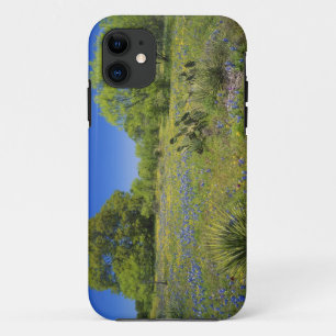 Coques Pour iPhone Texas, Texas Hill Country, Low bladderpod,