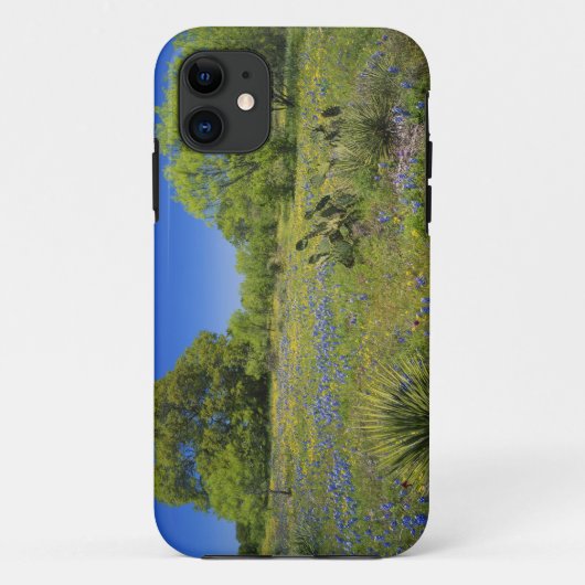 Coques Case-Mate iPhone Texas, Texas Hill Country, Low bladderpod, (Dos)