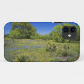Coques Case-Mate iPhone Texas, Texas Hill Country, Low bladderpod, (Dos (Horizontal))
