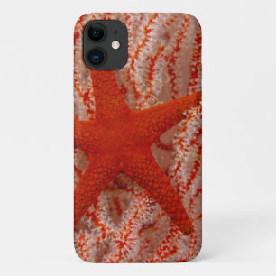 Case-Mate iPhone Case Thaïlande, étoile de mer