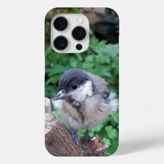 Coques Case-Mate iPhone Tidi my Bird le Parus Major (Verso)