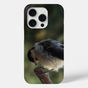 Coque iPhone 15 Pro Tidi my Bird le Parus Major