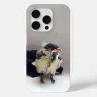 Tidi my Bird le Parus Major